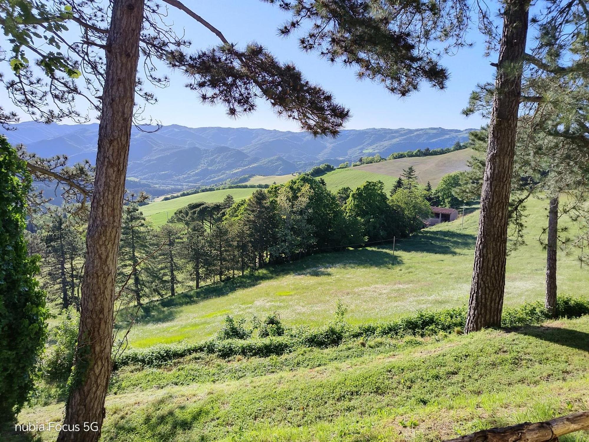 Podere Casone Sant'Adriano エクステリア 写真